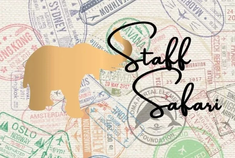 🦒 Staff Tables: Luxury Safari