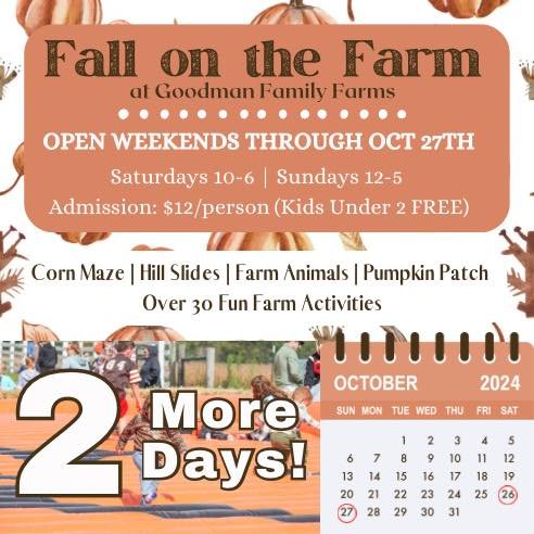 ONLY 2 MORE DAYS!! ‼️

We are quickly nearing the end of October which means there are only 2 more days left of our 2024 Fall on the Farm Festival! 🎃 

This Saturday and Sunday is our last two days for you to experience the fun and excitement of fal