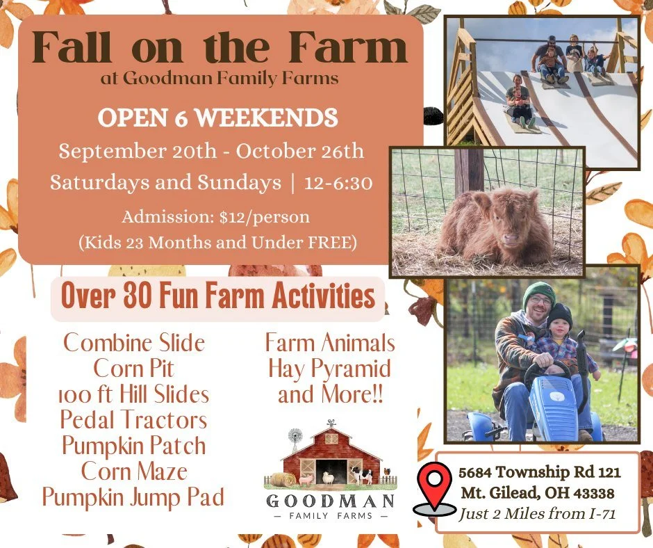 4th ANNUAL FALL FESTIVAL AT GOODMAN FAMILY FARMS ❗🍂🍁

Here is what you can expect this fall on the farm!
🥘 🛻 Food Trucks on site daily 

Over 30 fun farm activities
🌽 Corn Maze
🛝 Giant Slides
🎃 Pumpkin Patch
🐮🐷🐔🐗 Farm Animals
and SO MUCH M