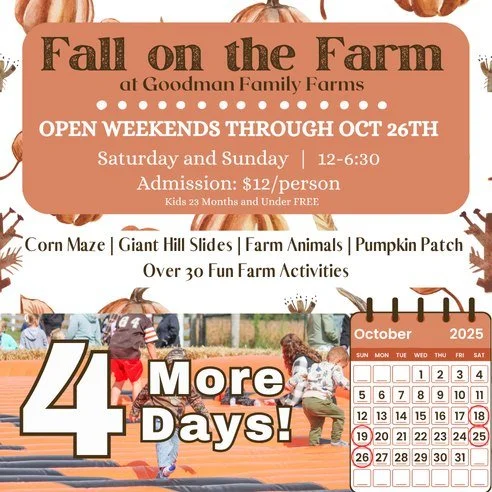 ONLY 4 MORE DAYS OF FALL FESTIVAL! 🤯🎃

Open this weekend (Oct 18th and 19th) and next weekend (Oct 24th and 25th) for our FINAL two weekends of our annual fall festival. 

If you are looking for something to do with your family before the end of th