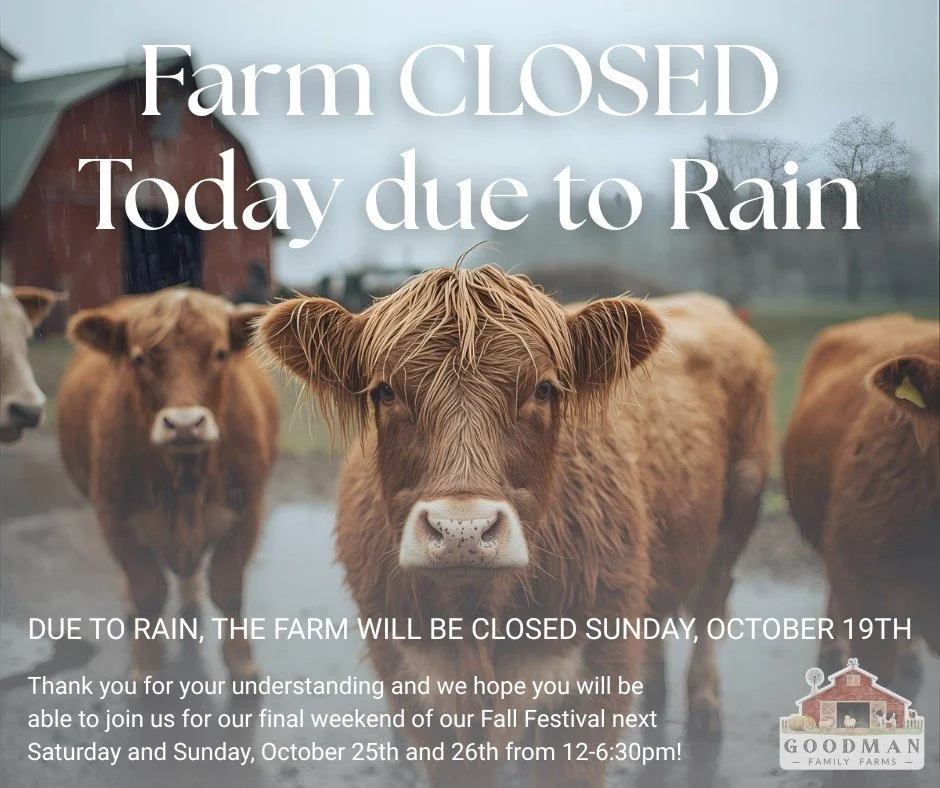 FARM CLOSED TODAY DUE TO RAIN 🌧️

Due to rain, the farm will be closed today, Sunday, October 19th.

Thank you for your understanding and we hope you will be able to join us for our final weekend of our Fall Festival next Saturday and Sunday, Octobe