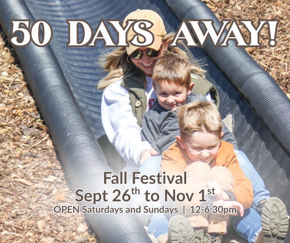 50 DAYS UNTIL FALL FESTIVAL! 📢

Our annual Fall on the Farm Festival is only 50 days away! Mark your calendars and come celebrate 5 YEARS of farm fun with us this fall! 📅🎉

What to Expect at this year's fall festival...
- Pumpkins 🎃
- #America250