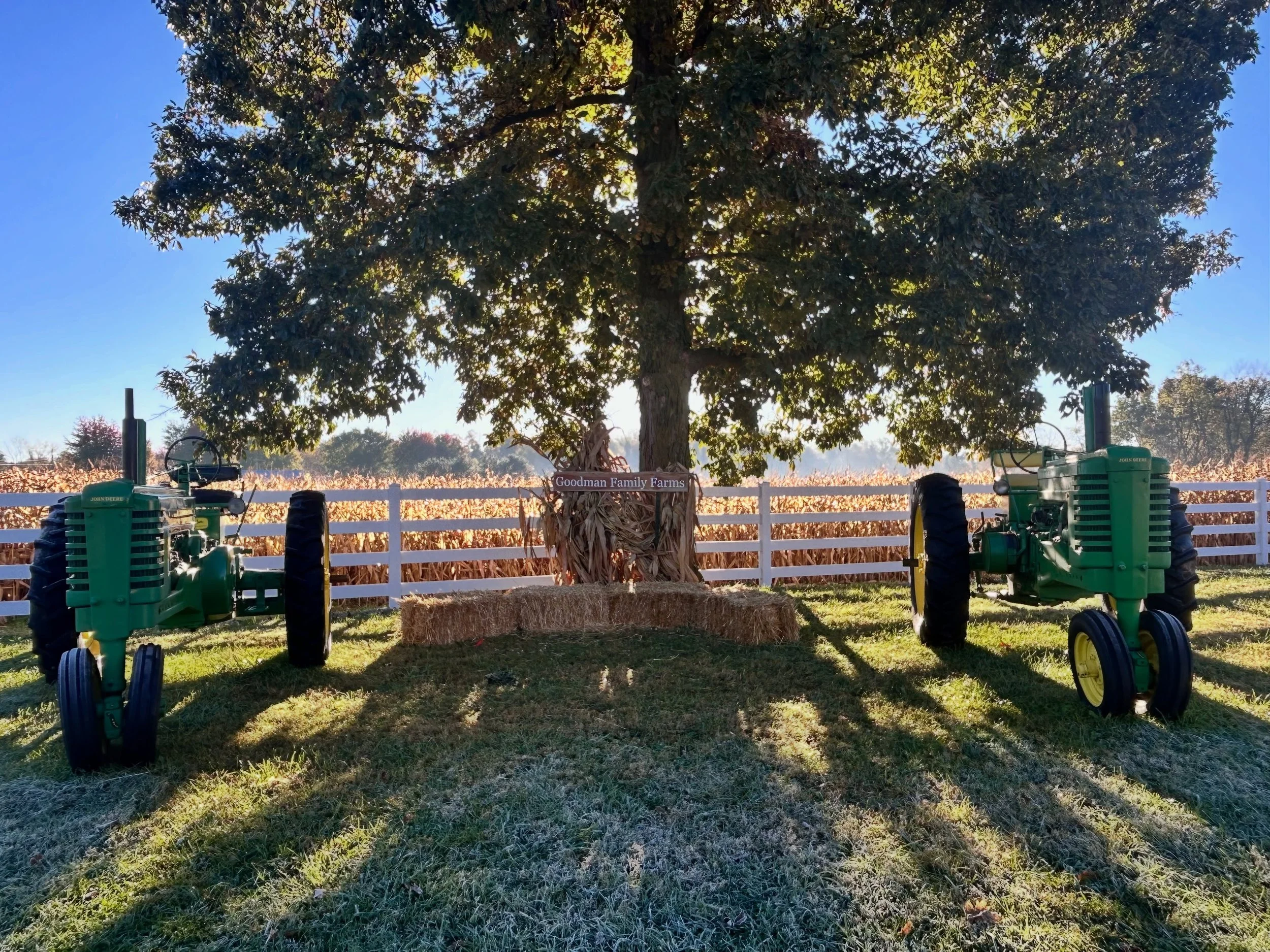 SUNNY FALL MORNINGS ON THE FARM☀️❤️

There are only 5 days left of our 5th Annual Fall Festival! Over half way through the season already and we can&rsquo;t figure out where the time went?!

From giant hill slides 🛝 to our corn maze 🌽 , barrel trai