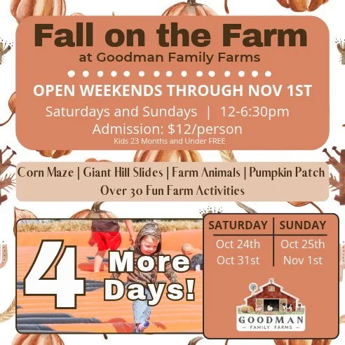 4️⃣MORE DAYS OF FALL FESTIVAL🍁

Its hard to believe that there are only 4 more days left of our 5th annual Fall Festival! We are so grateful for everyone that has taken the time to visit our small family farm over these last 5 years. We love seeing 