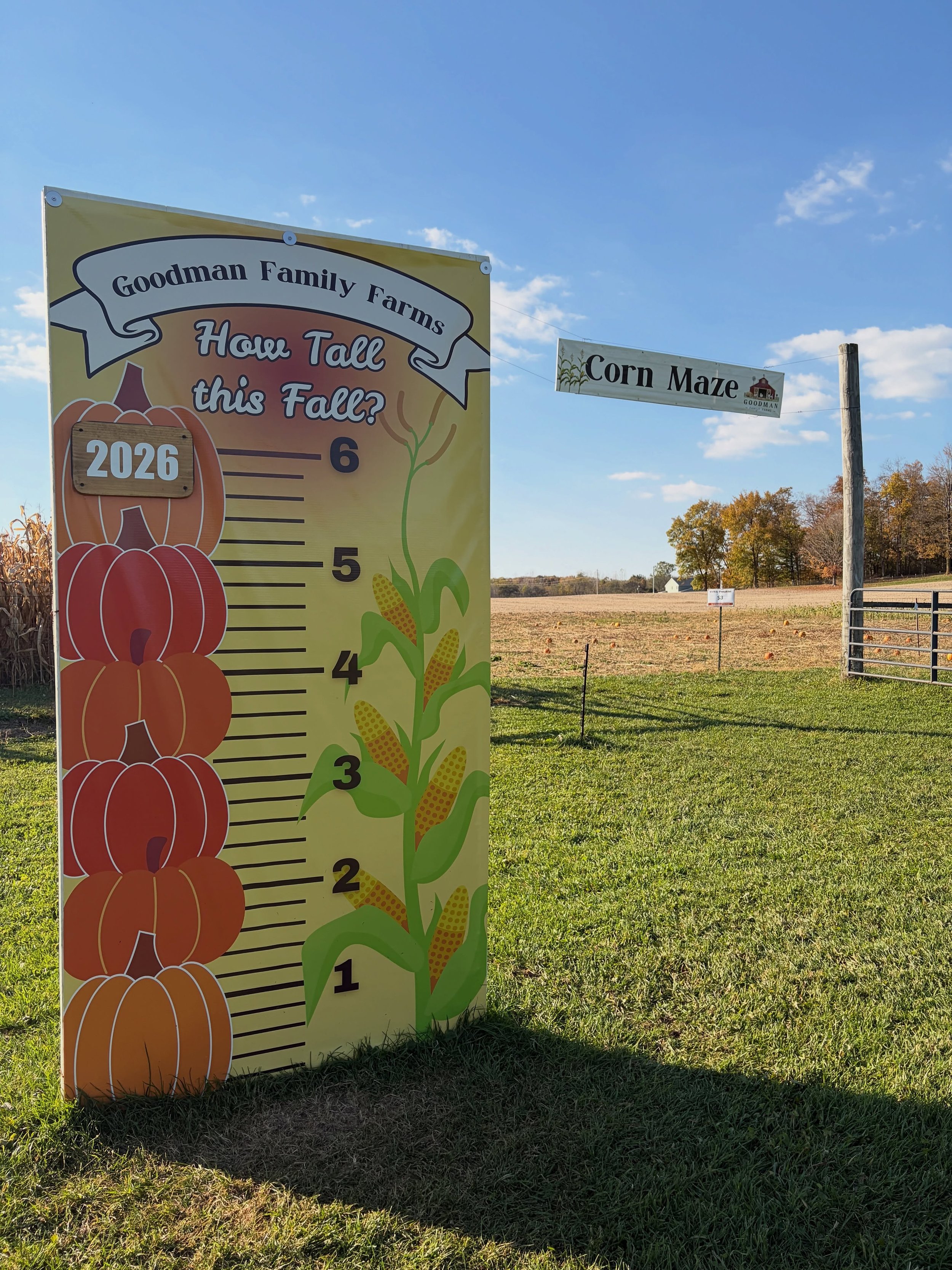 A beautiful Friday evening ahead of another gorgeous fall weekend 🍁

Only a few more days to experience all the farm has to offer! Enjoy the crisp fall air, crystal blue skies, and crunch of leaves this weekend on the farm! We are open Saturday and 