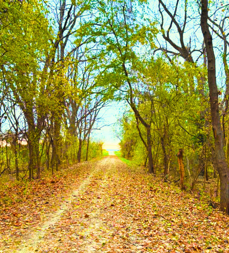 Two cyclists riding on a forested path beside rocky cliffs with lush green trees overhead.