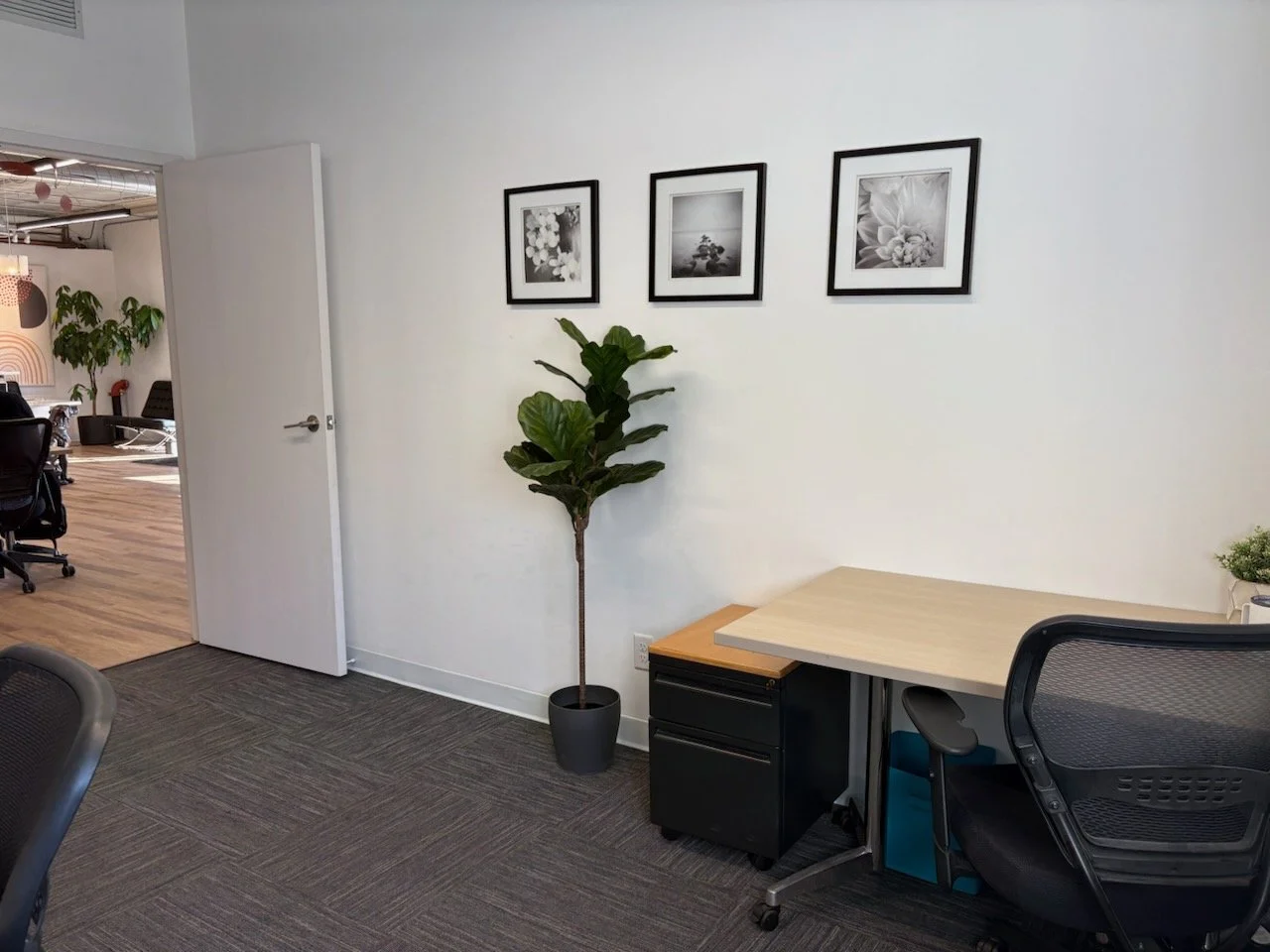 Office 101 (1).JPG