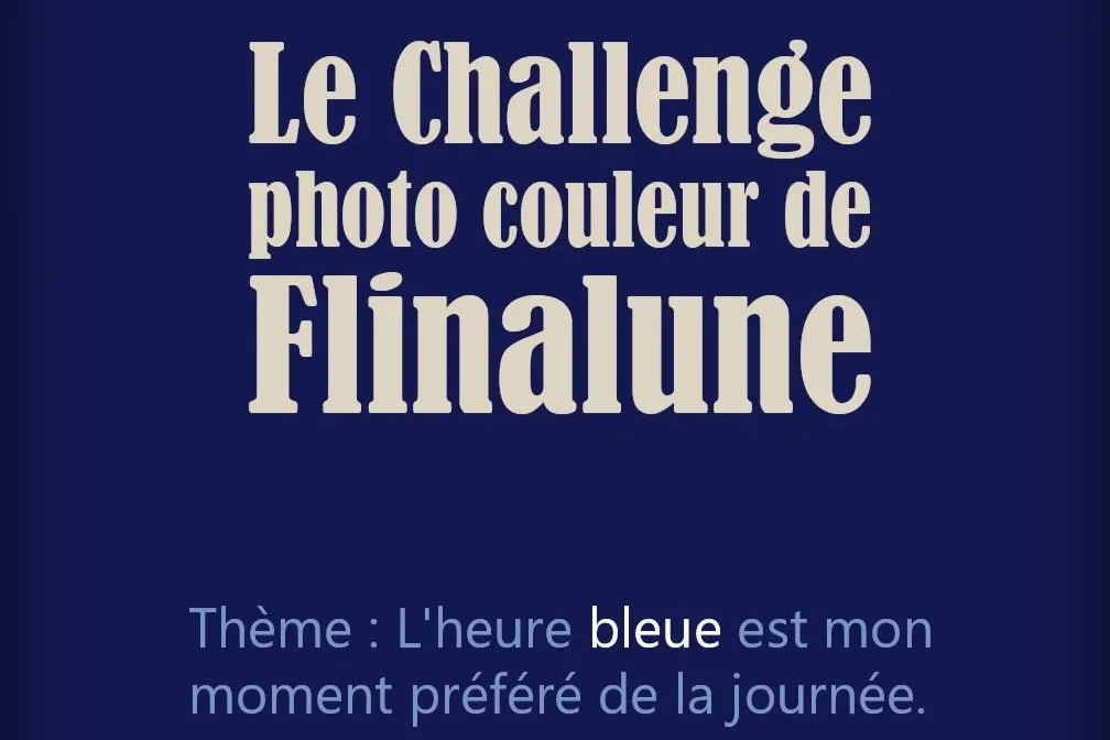 Le Challenge photo couleur de Flianlune