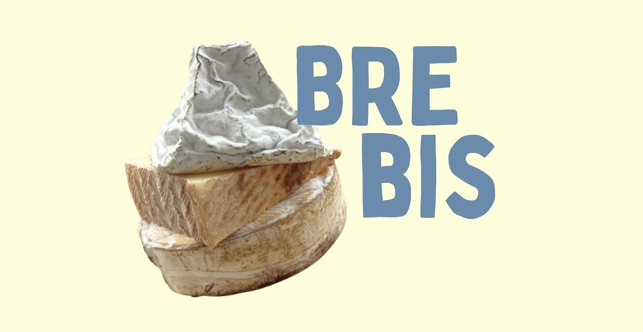 BREBIS au TABAC