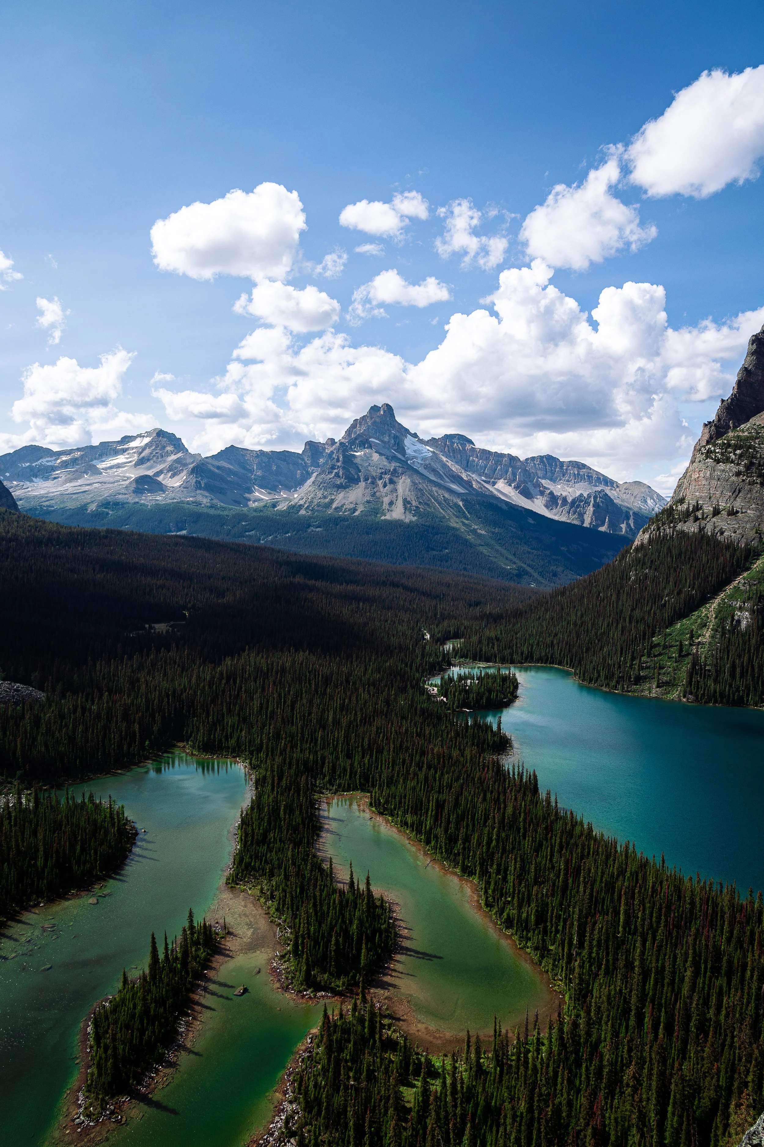 Lake O'Hara-7.jpg