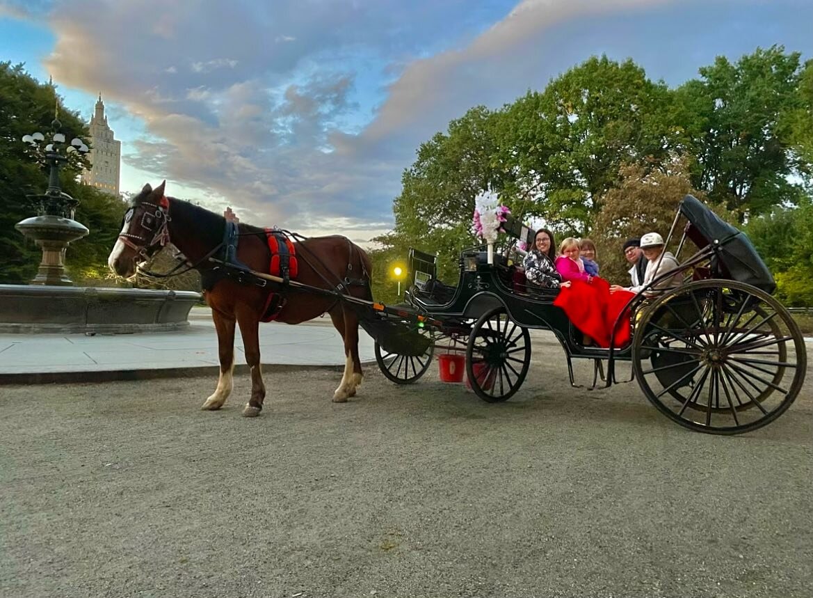 As the leaves begin to turn, there's no better way to soak in the autumn splendor of Central Park than with a charming horse and carriage ride. 🍁🐎

#CentralPark #NewYork #NewYorker #NewYorkCity #NewYorkLocals #Horses #HorseRiding #HorseAndCarriageR