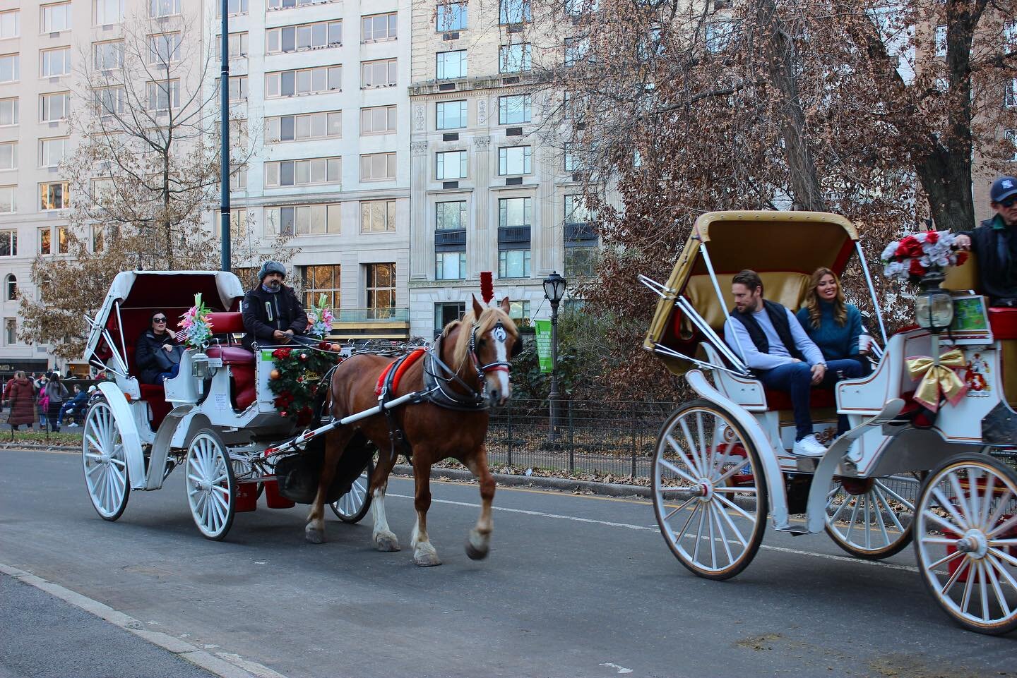 The activity of the season, a horse and carriage ride through the timeless Central Park. 🐎

#CentralPark #NewYork #NewYorker #NewYorkCity #NewYorkLocals #Horses #HorseRiding #HorseAndCarriageRide #HorseAndCarriage #Manhattan #NewYorkTourist #Explore