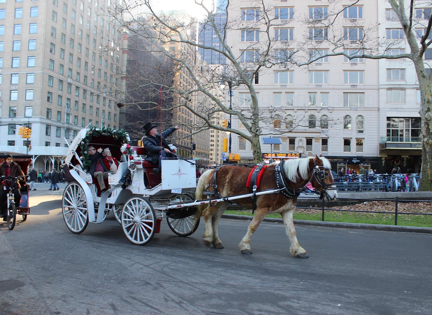 A memorable horse and carriage tour which highlights the parks known movie locations. 🎥 🍿 

#CentralPark #NewYork #NewYorker #NewYorkCity #NewYorkLocals #Horses #HorseRiding #HorseAndCarriageRide #HorseAndCarriage #Manhattan #NewYorkTourist #Explor