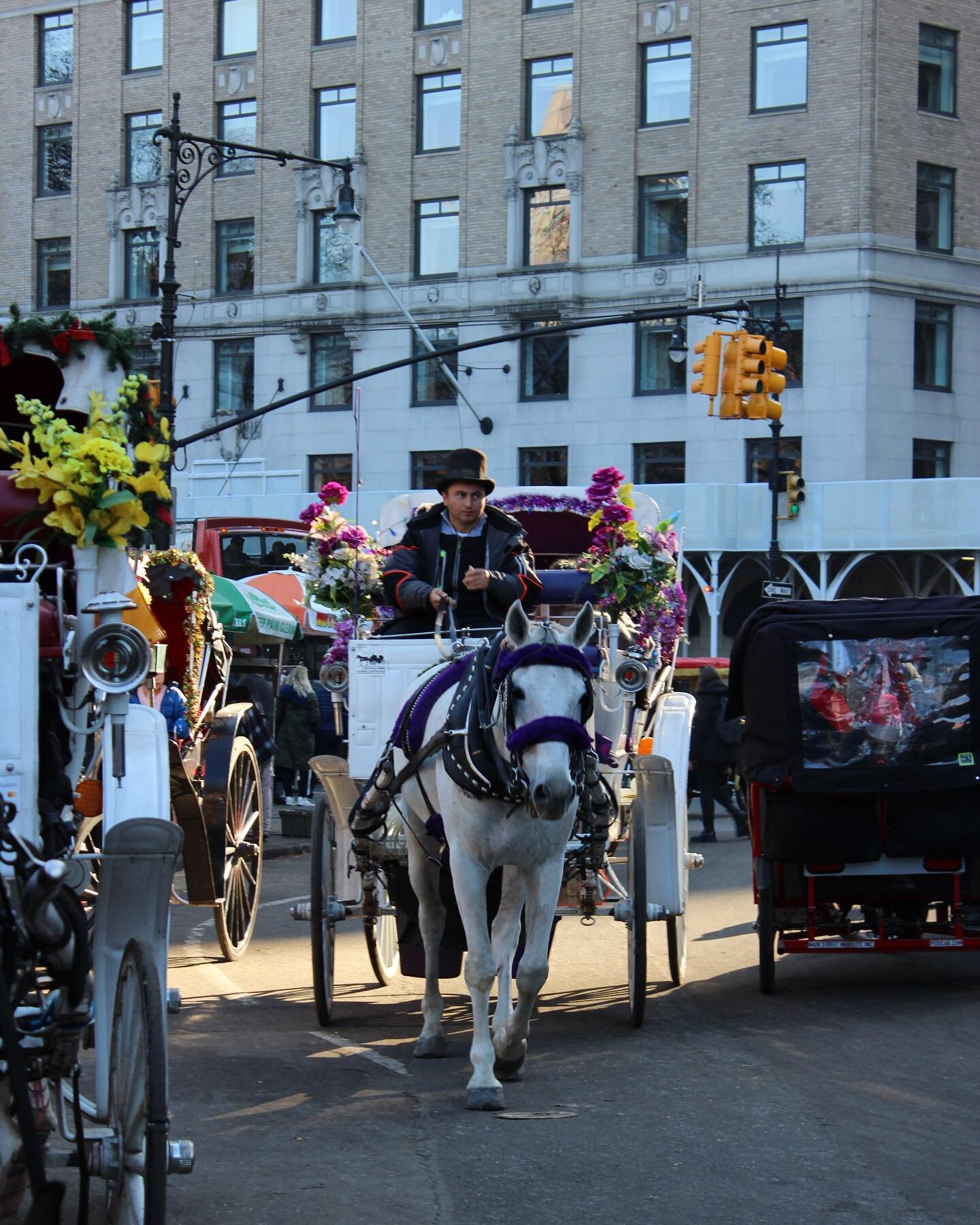 Our horse and carriages provide a relaxing and memorable tour of the attractions available in Central Park. 🎠

#CentralPark #NewYork #NewYorker #NewYorkCity #NewYorkLocals #Horses #HorseRiding #HorseAndCarriageRide #HorseAndCarriage #Manhattan #NewY