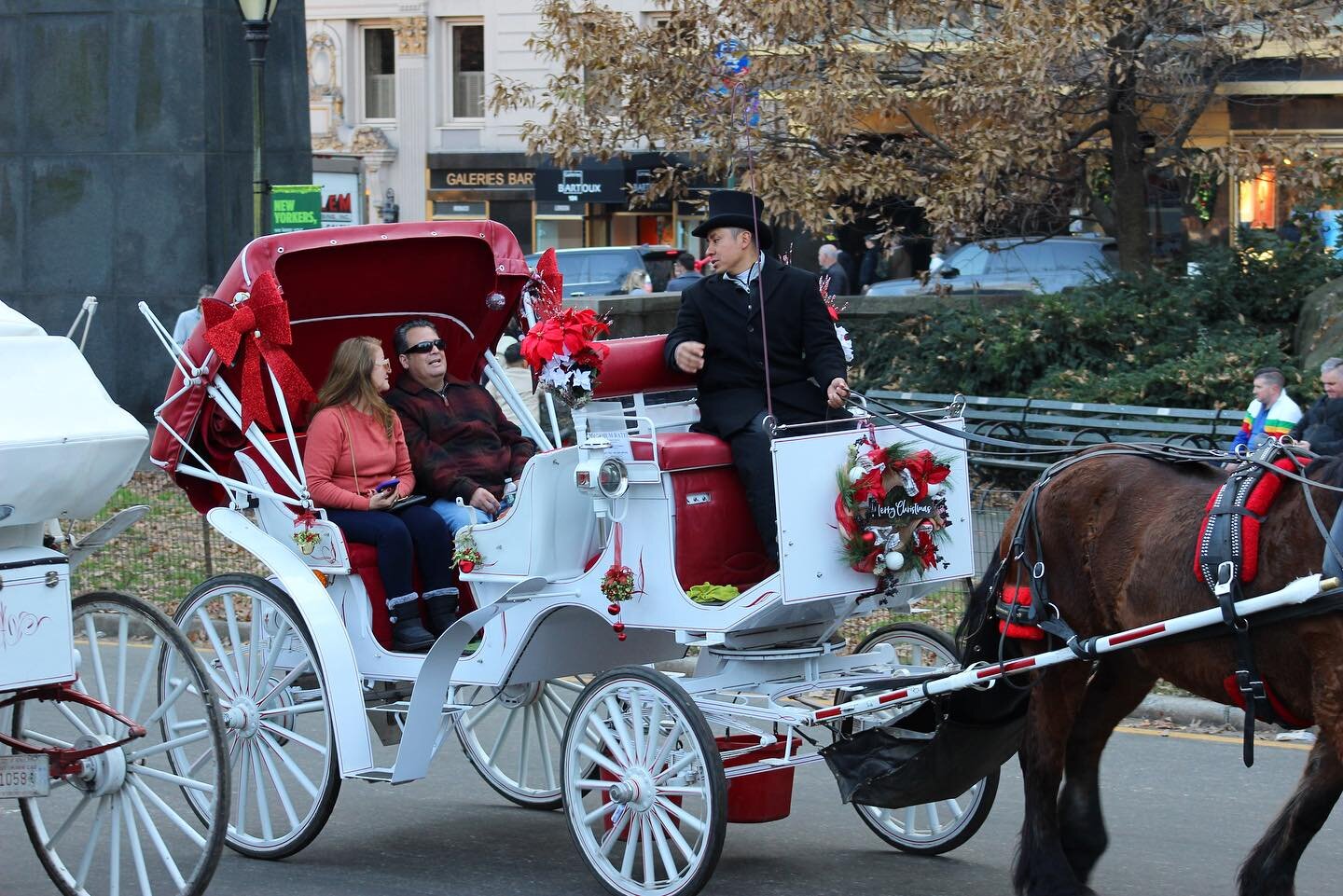 ❄️ Horse carriage rides through the winter wonderland of New York City. 

#CentralPark #NewYork #NewYorker #NewYorkCity #NewYorkLocals #Horses #HorseRiding #HorseAndCarriageRide #HorseAndCarriage #Manhattan #NewYorkTourist #ExploreCentralPark #Centra