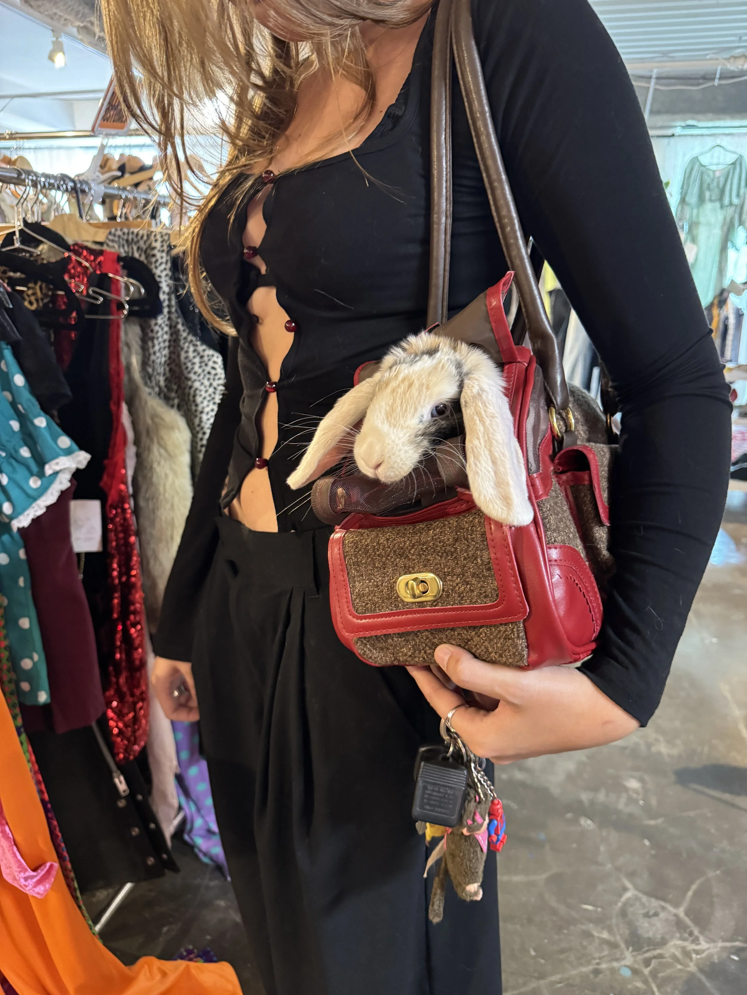 A woman with long hair wearing a black shirt holding a purse with a bunny inside. The bunny's head and ears are visible poking out of the purse.