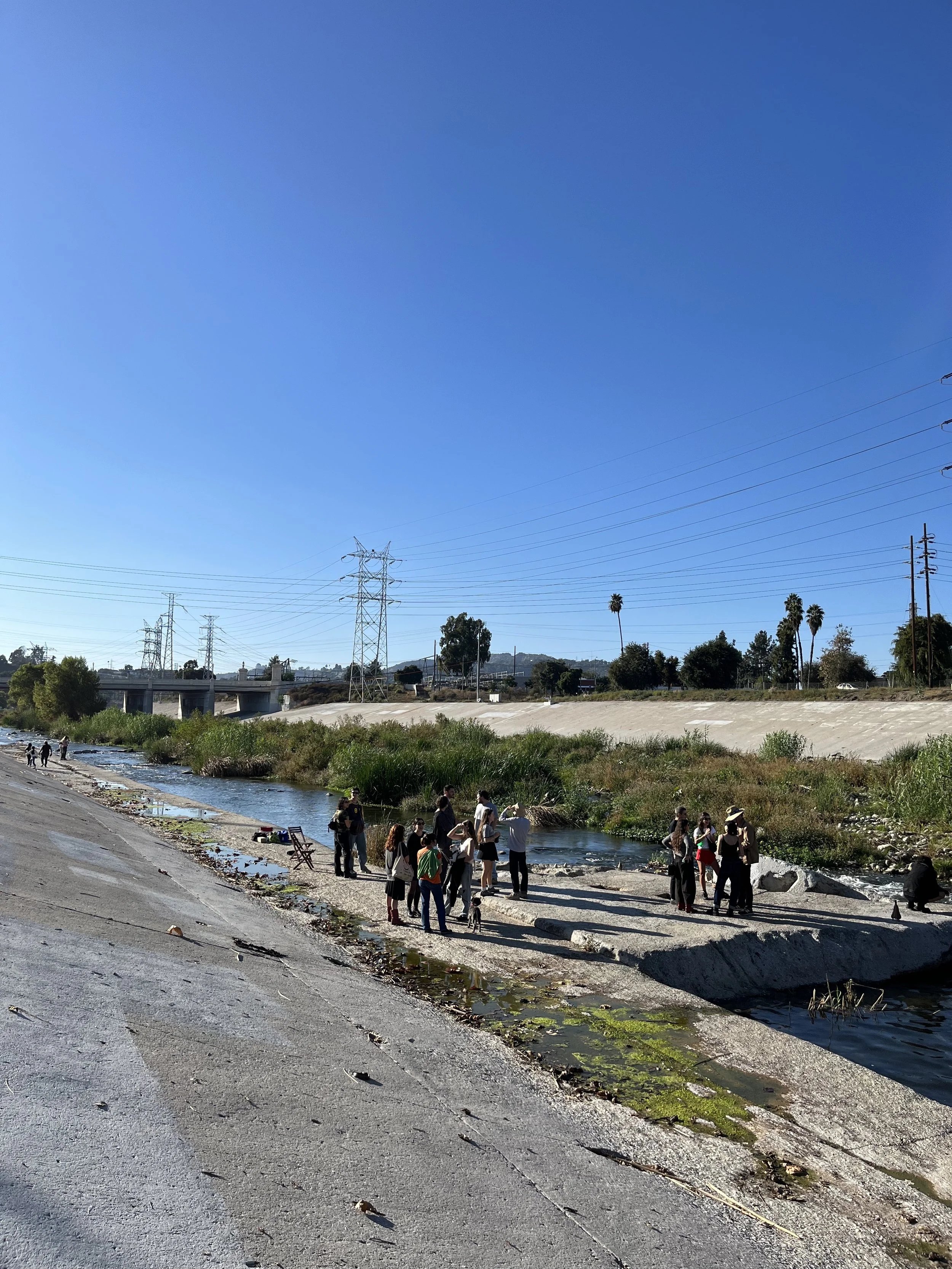 The Frogtown Project