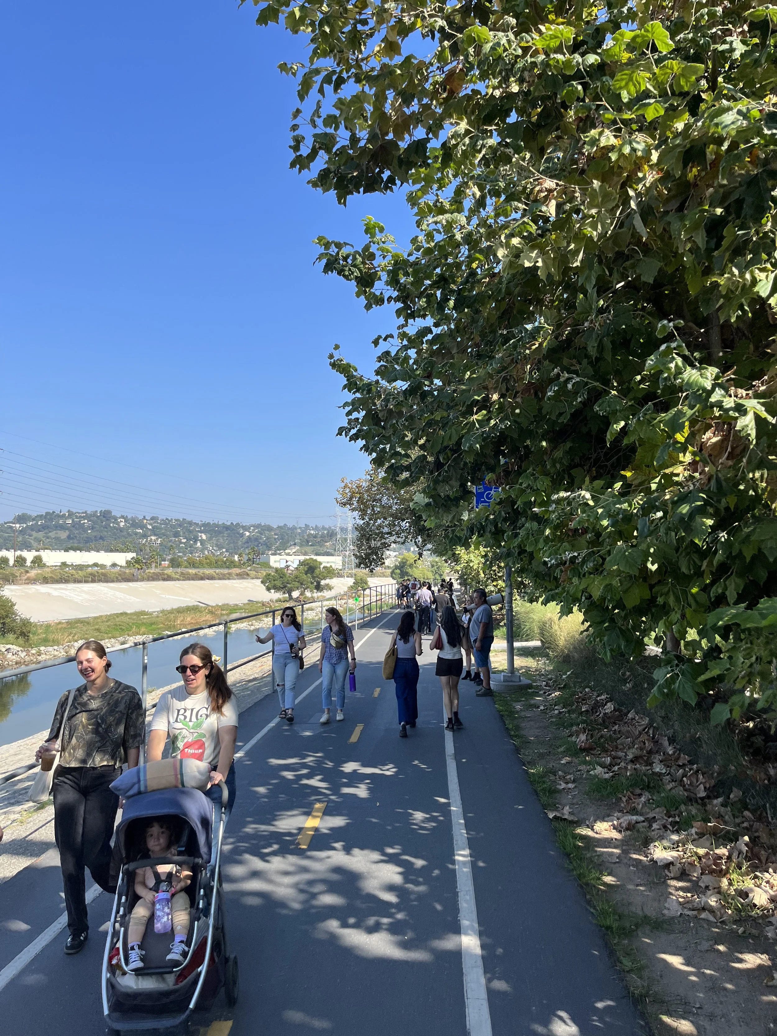 The Frogtown Project