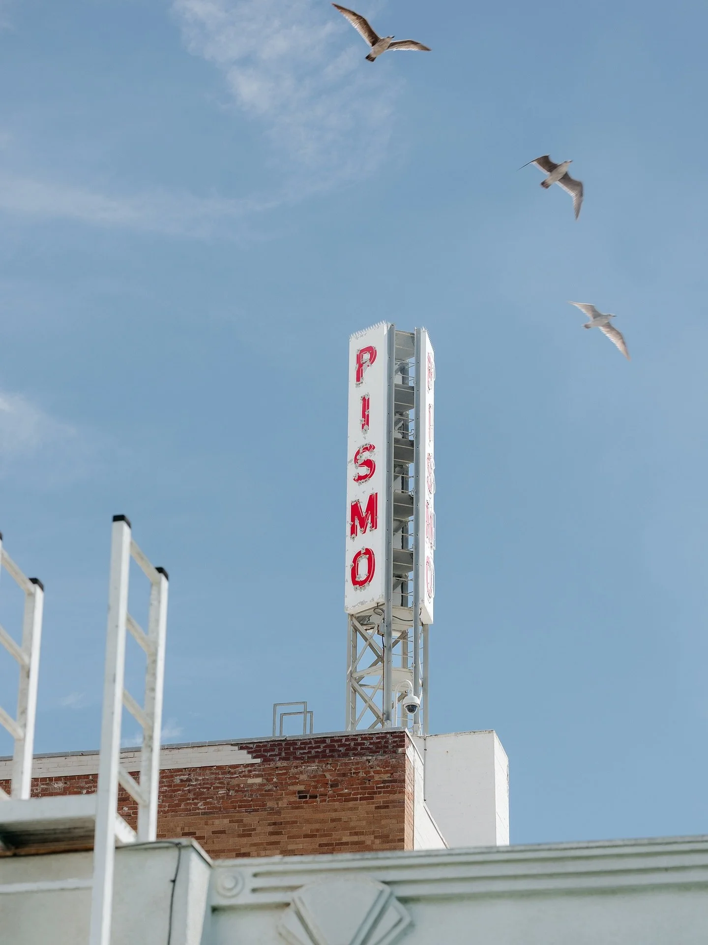 Beach trip for the day