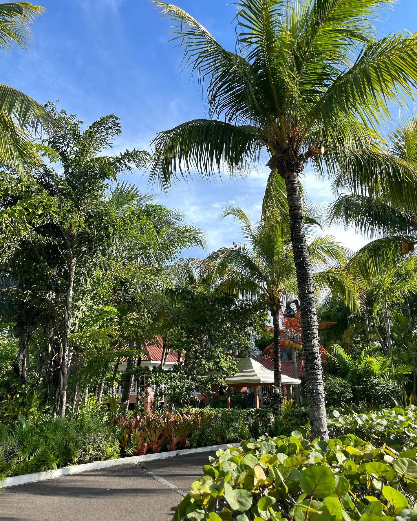 Your secret paradise is ready for you. Join us for a meal at our private estate. Make your reservation by following the link in our bio.