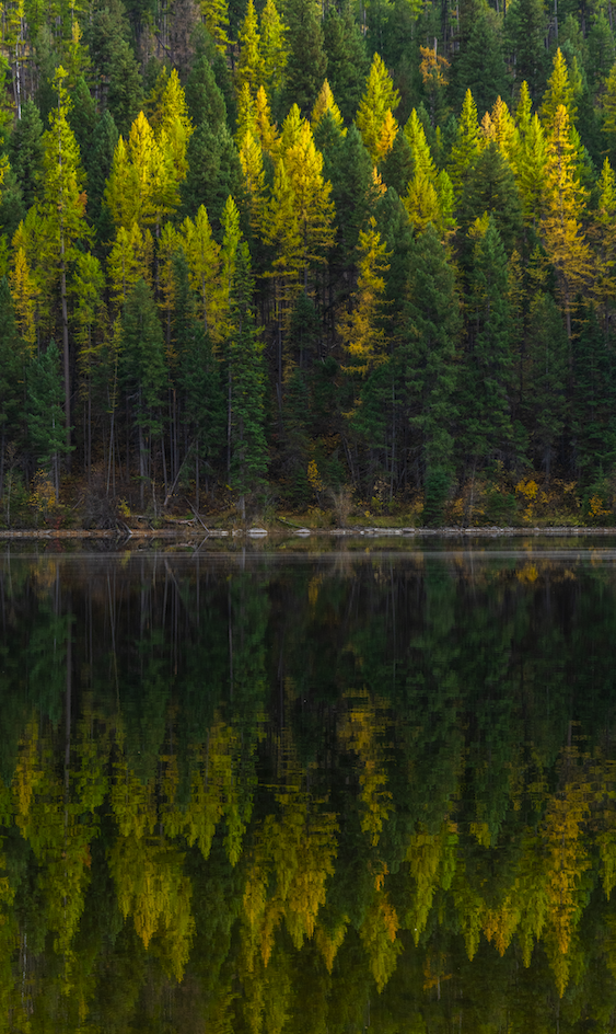 Screenshot 2024-01-08 at 4.12.25 PM.png