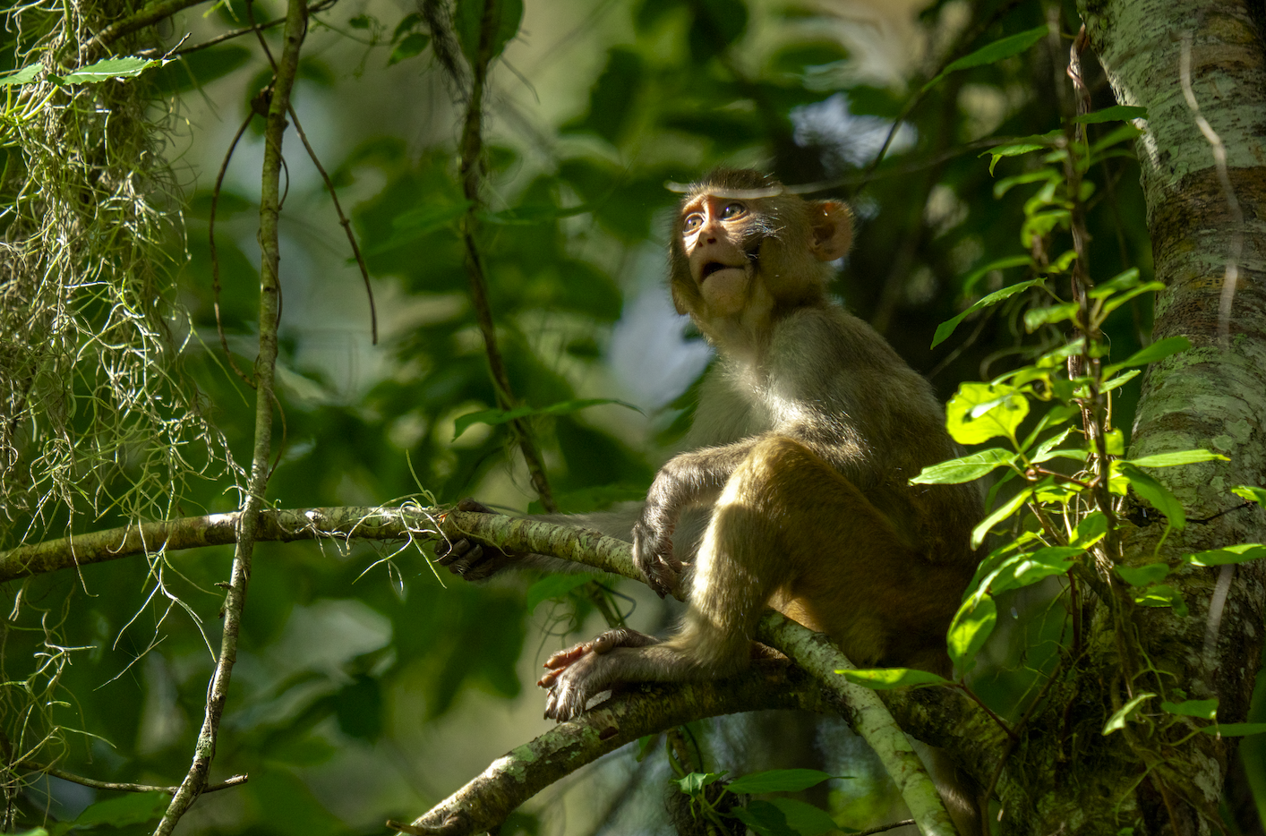 Screenshot 2024-01-08 at 4.04.11 PM.png