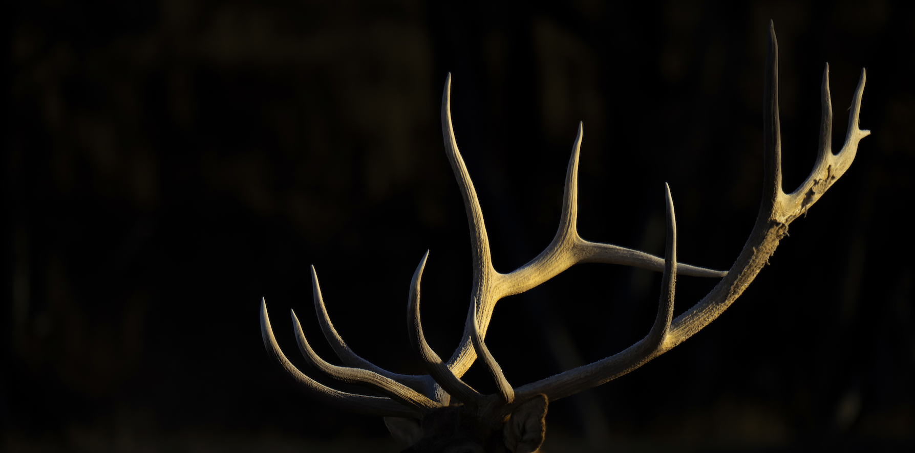 Screenshot 2024-01-08 at 4.12.47 PM.png