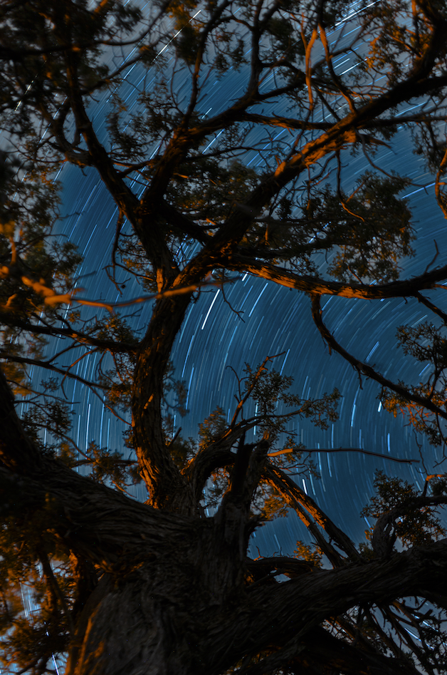 Screenshot 2024-01-08 at 4.10.55 PM.png