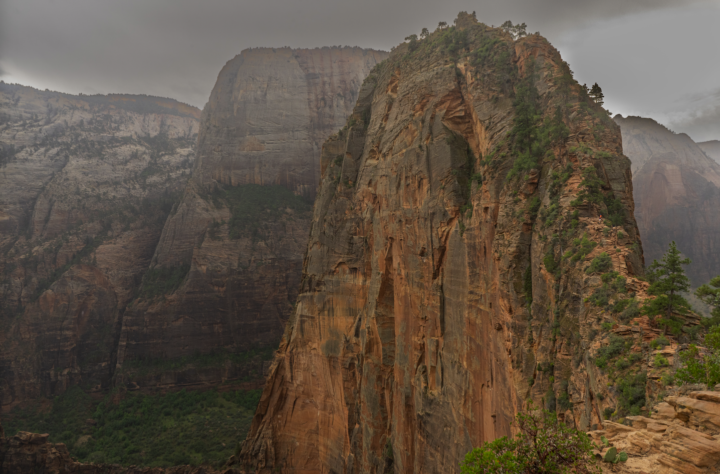 Screenshot 2024-01-08 at 4.15.47 PM.png