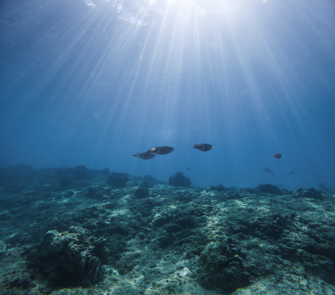 Screenshot 2024-01-08 at 4.06.17 PM.png