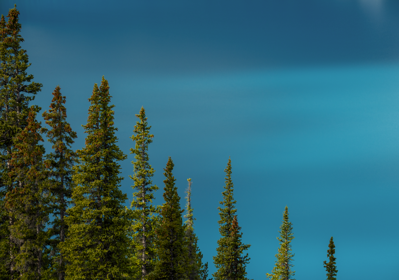 Screenshot 2024-01-08 at 4.14.19 PM.png