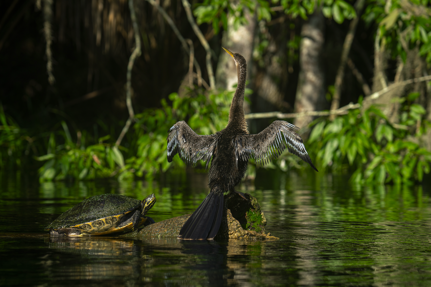 Screenshot 2024-01-08 at 4.17.30 PM.png