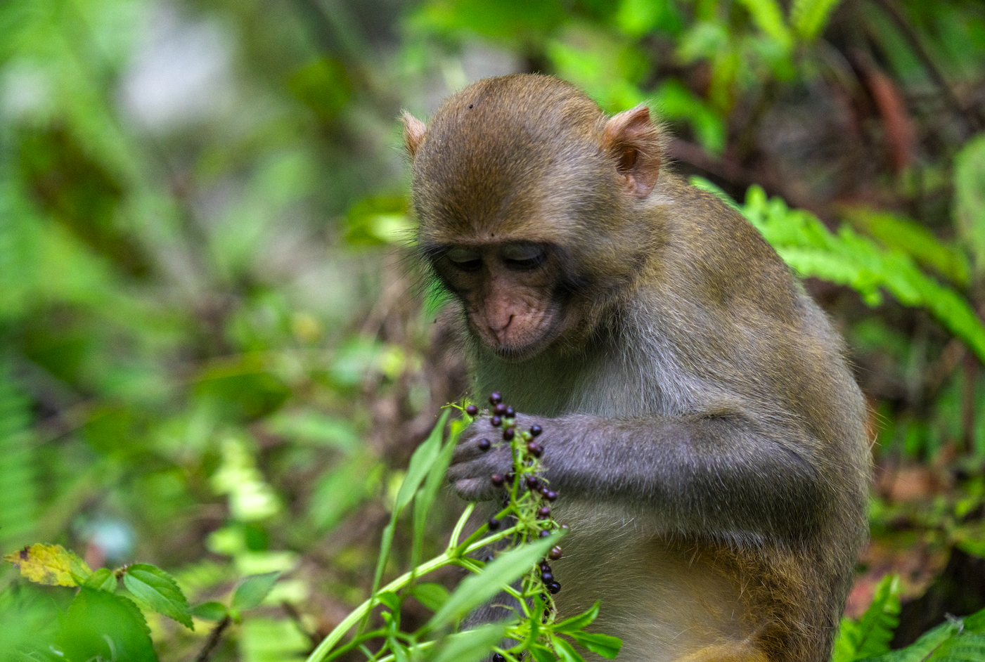 Screenshot 2024-01-08 at 4.04.41 PM.png