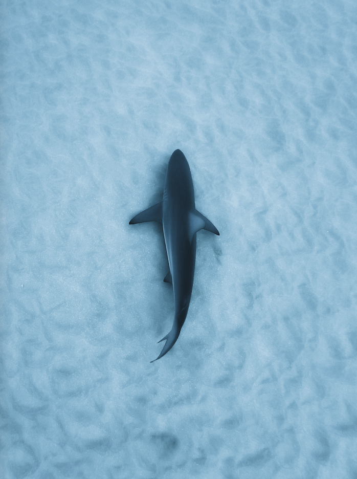 Screenshot 2024-01-08 at 4.06.44 PM.png