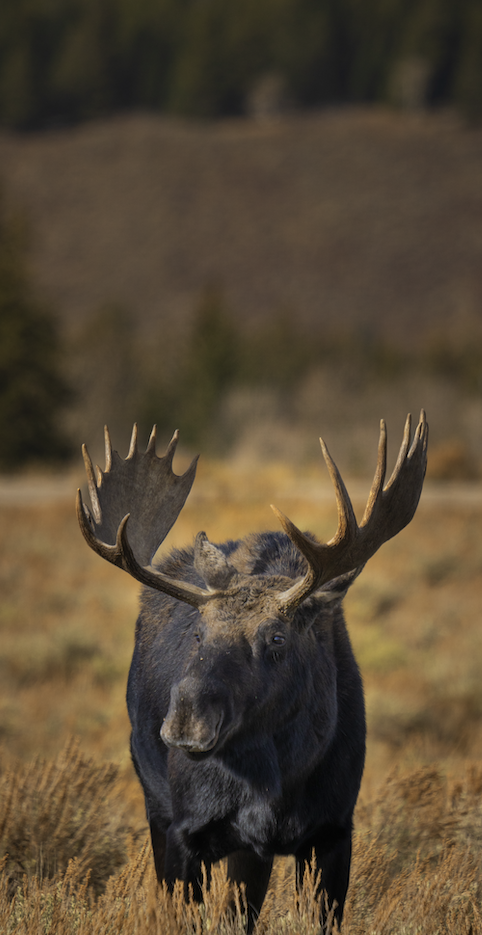 Screenshot 2024-01-08 at 4.13.25 PM.png