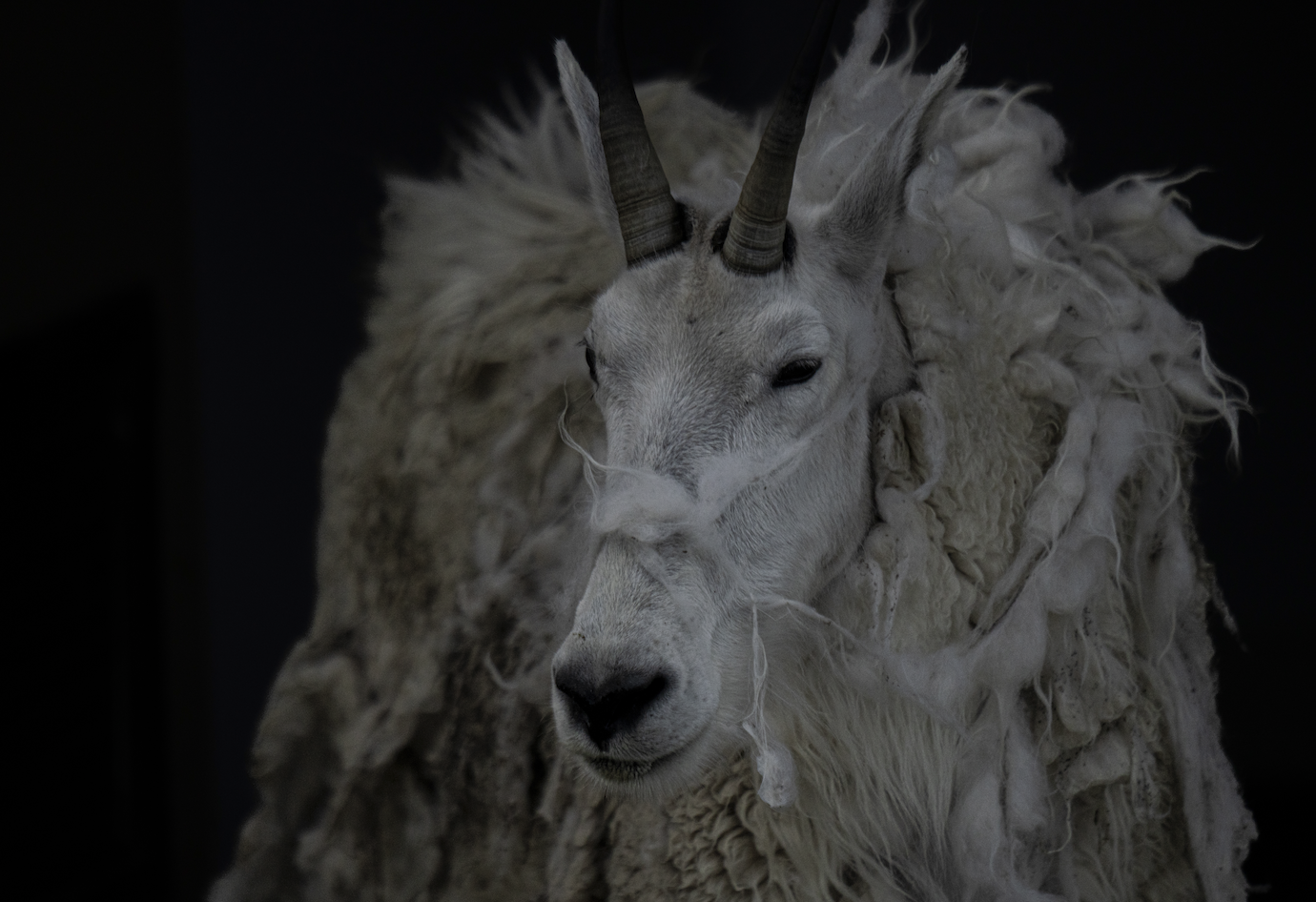 Screenshot 2024-01-08 at 4.02.59 PM.png