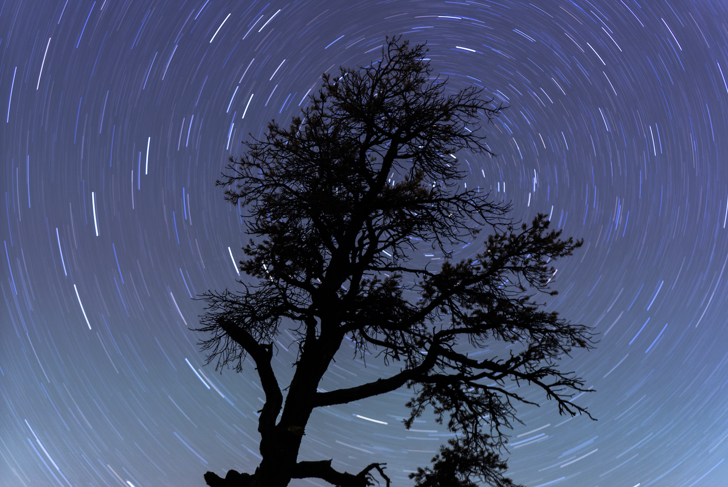 Screenshot 2024-01-08 at 4.13.48 PM.png