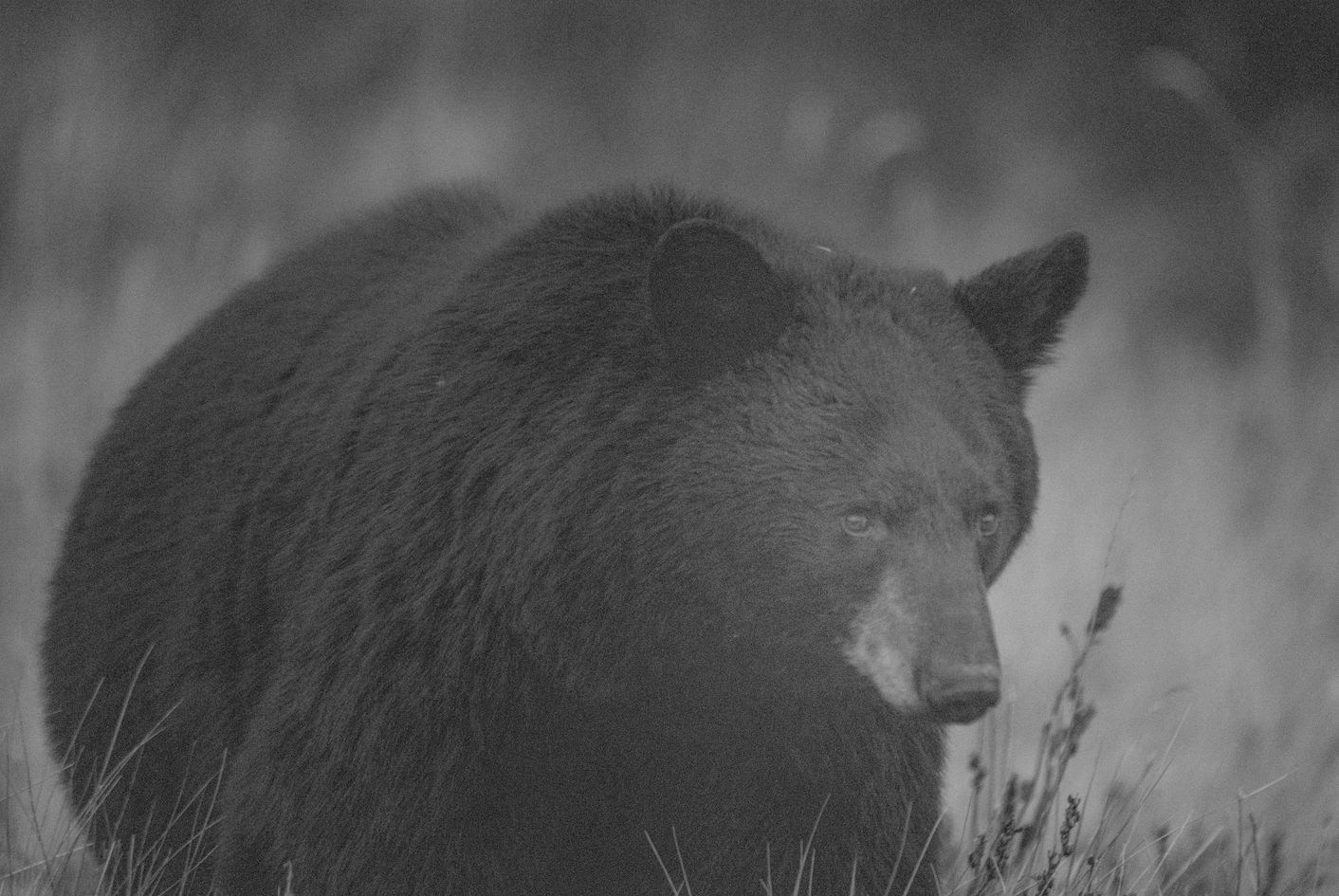 Screenshot 2024-01-08 at 4.15.03 PM.png