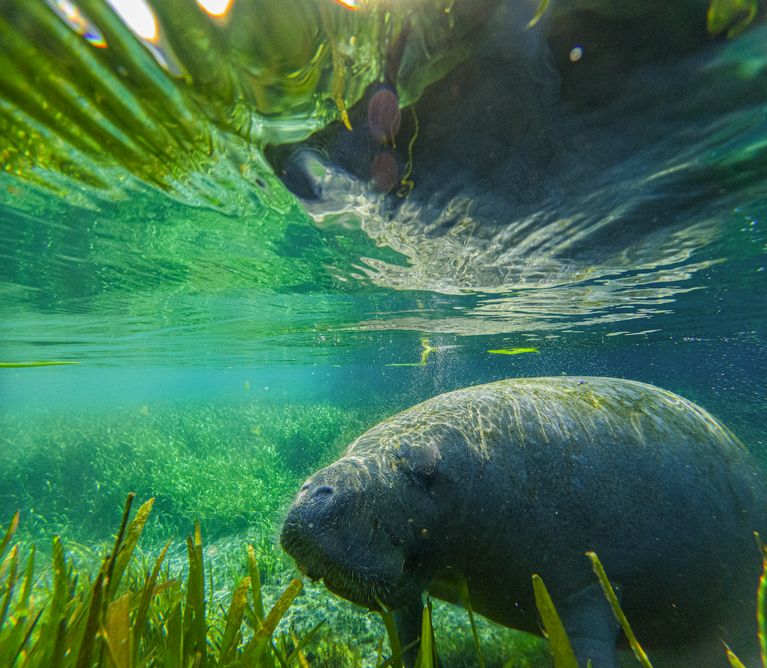 Screenshot 2024-01-08 at 4.17.39 PM.png