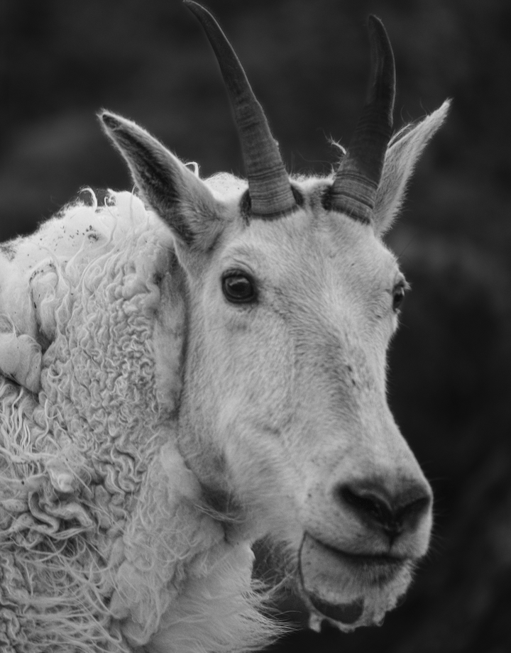 Screenshot 2024-01-08 at 4.02.17 PM.png