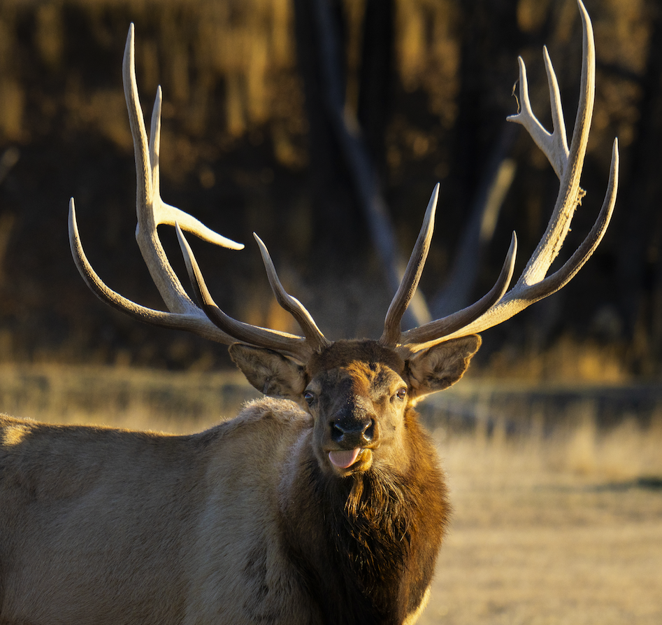 Screenshot 2024-01-08 at 4.10.22 PM.png