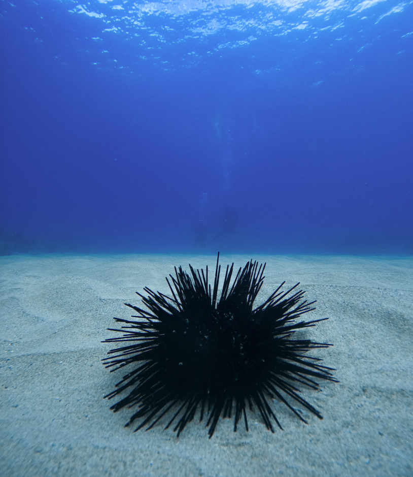 Screenshot 2024-01-08 at 4.06.27 PM.png