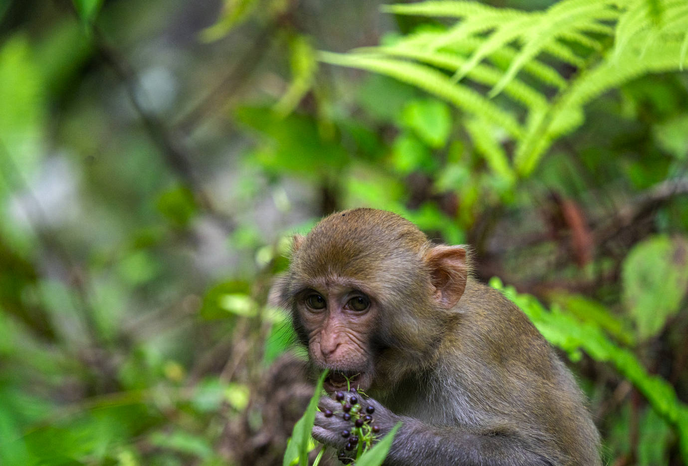 Screenshot 2024-01-08 at 4.04.31 PM.png