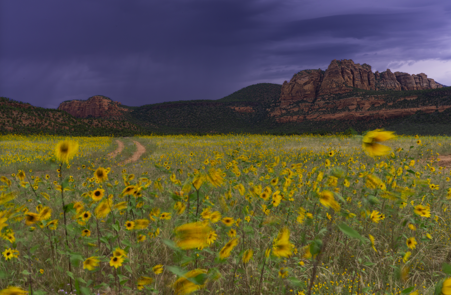 Screenshot 2024-01-08 at 4.18.39 PM.png