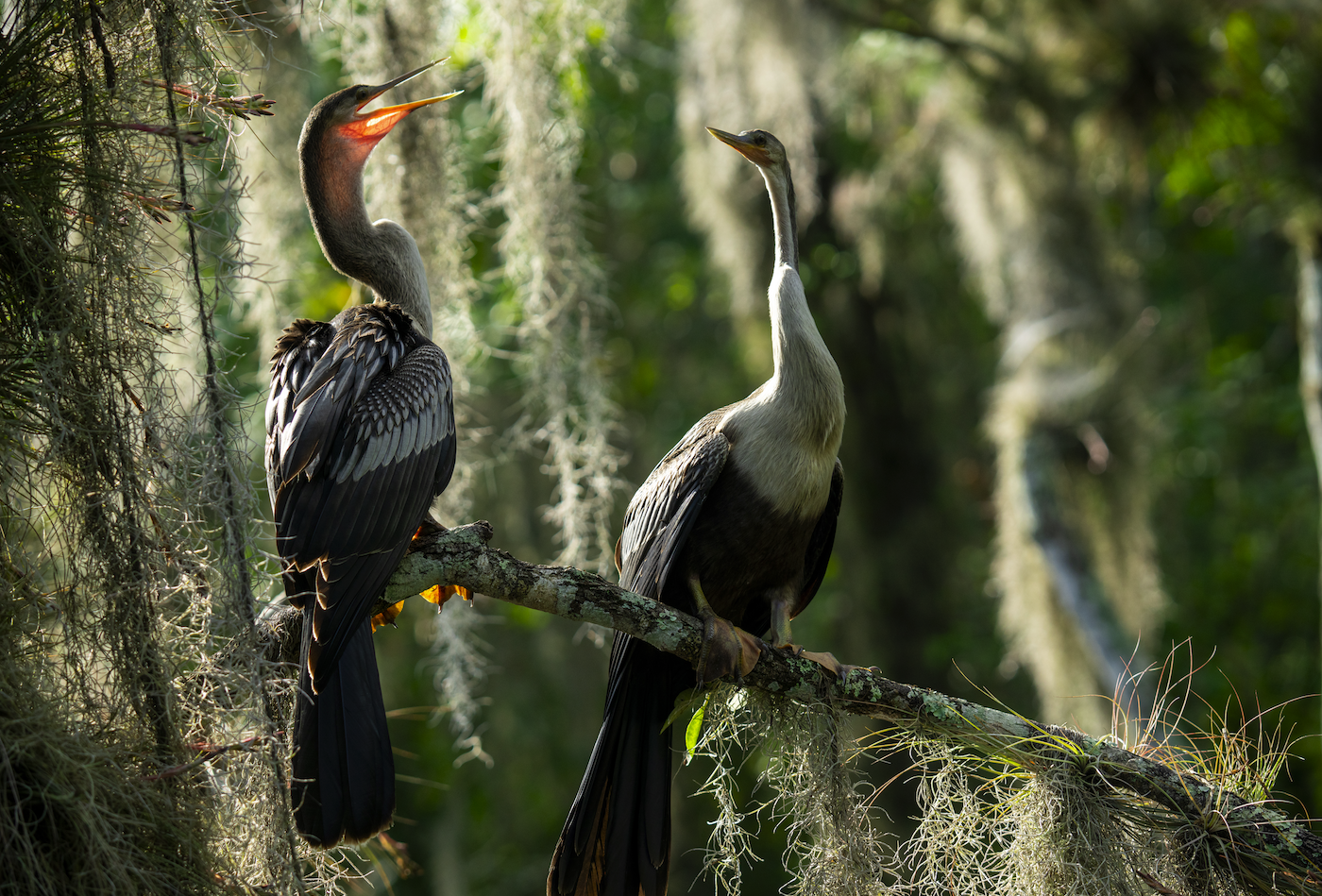 Screenshot 2024-01-08 at 4.05.06 PM.png