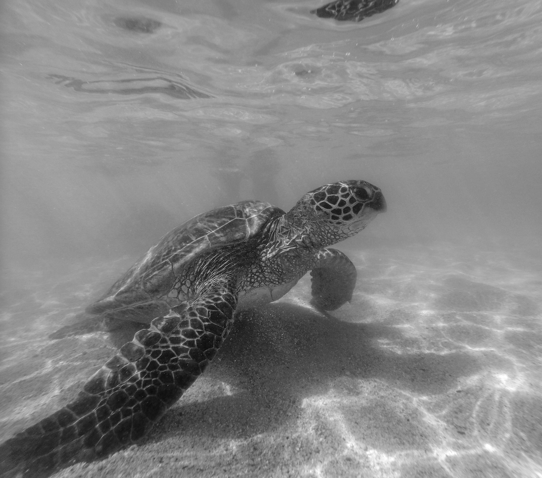 Screenshot 2024-01-08 at 4.09.17 PM.png