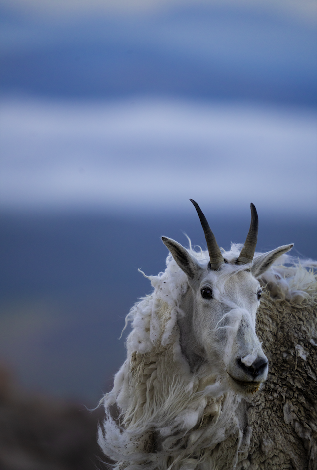 Screenshot 2024-01-08 at 4.02.40 PM.png