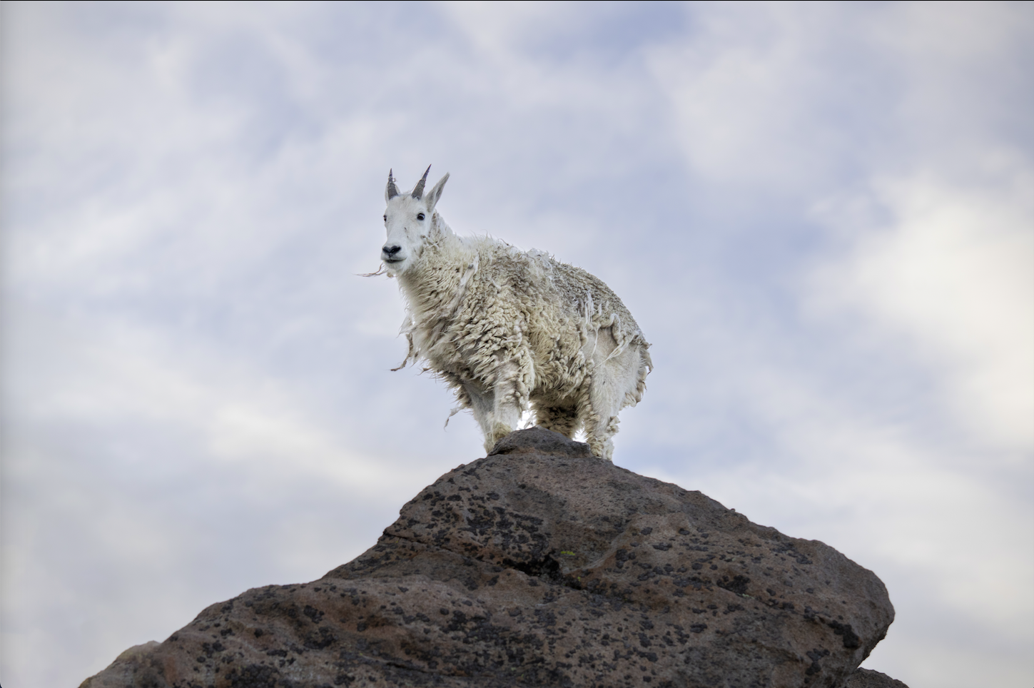 Screenshot 2024-01-08 at 4.01.52 PM.png