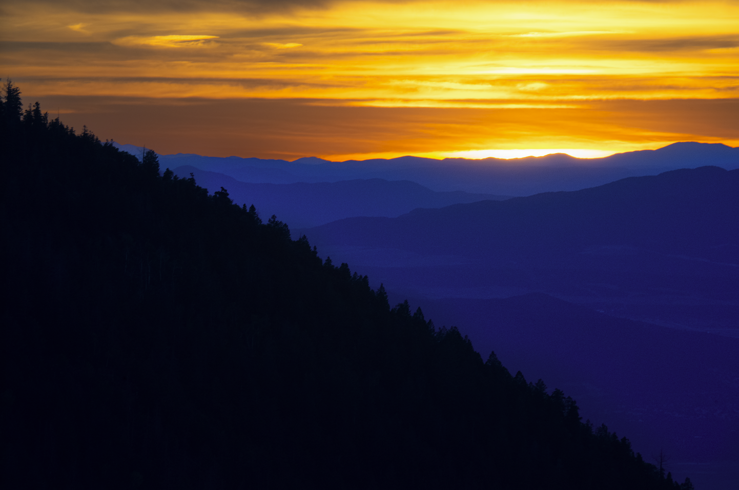 Screenshot 2024-01-08 at 4.16.30 PM.png