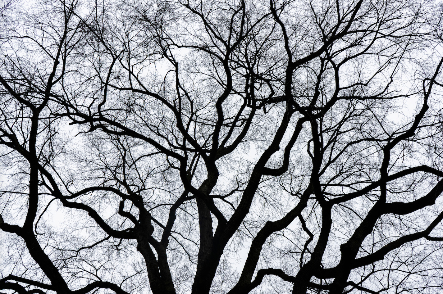 Screenshot 2024-01-08 at 4.11.16 PM.png